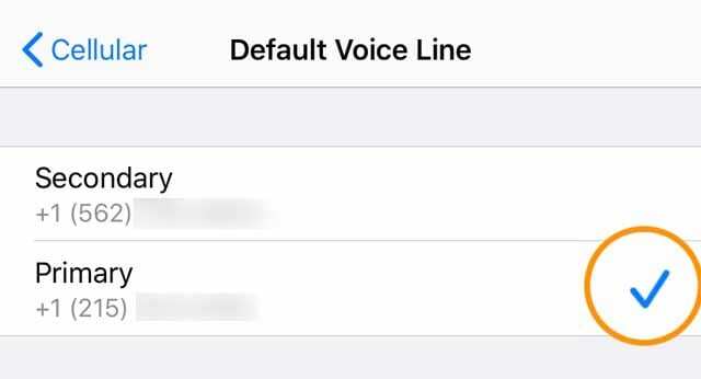 vaikehäälliin iOS 13 jaoks