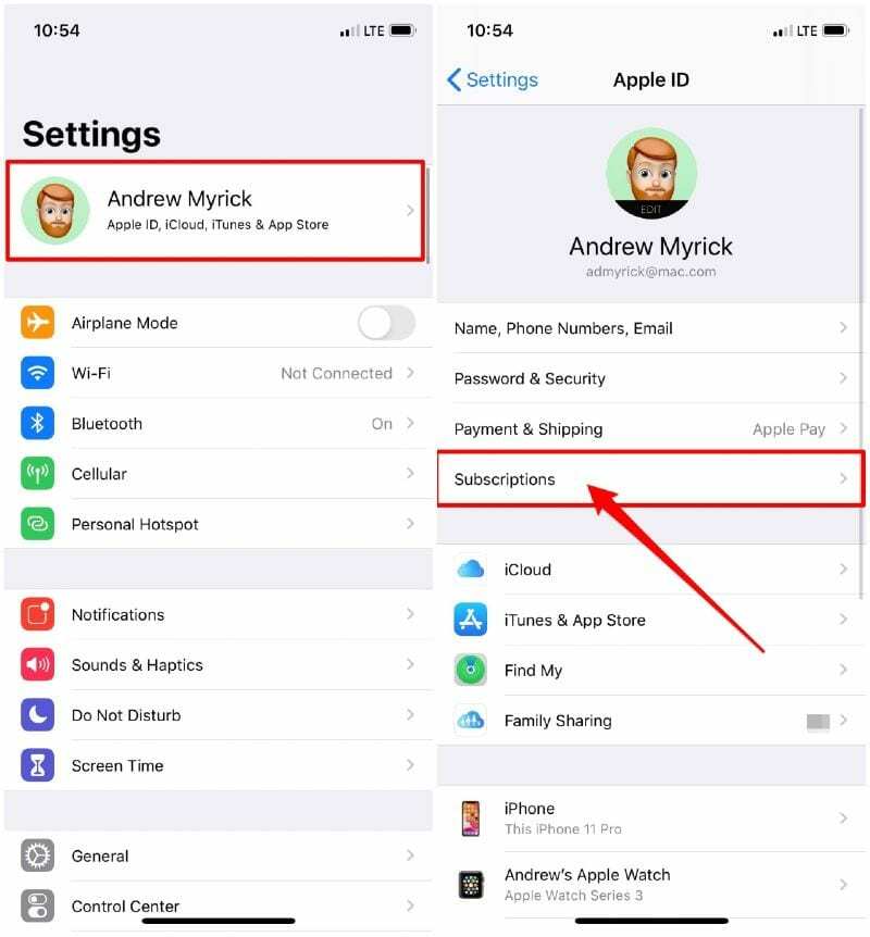 Apri abbonamenti dall'app Impostazioni iPhone