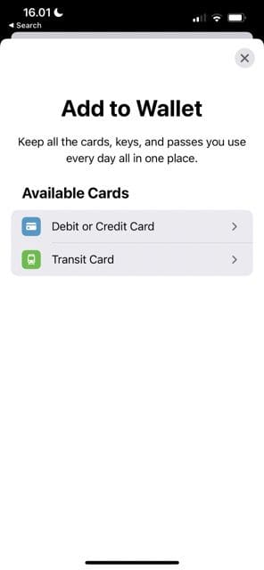 screenshot che mostra le opzioni per aggiungere carte in Apple Pay