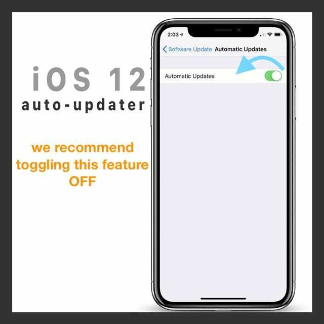 Hoe automatische updates op iPhone voor iOS 12 uit te schakelen?