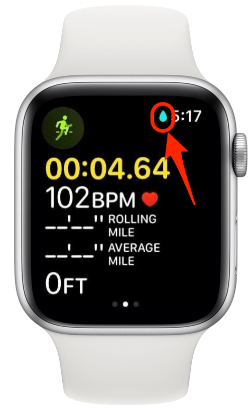 Você verá um ícone do Apple Watch Water Lock aparecer na tela de treino ativo