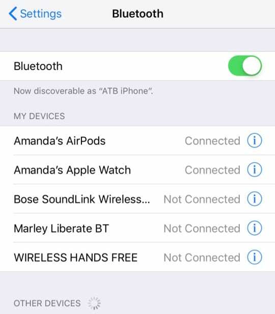 Списък с Bluetooth устройства iOS 12