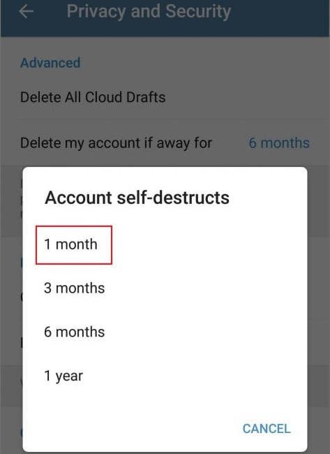 Löschen Sie Ihr Telegram-Konto mit der Selbstzerstörungsfunktion Schritt - 3