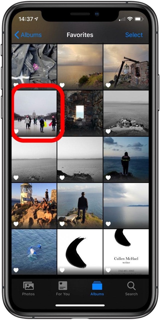 приложение для фотографий с выделенным изображением