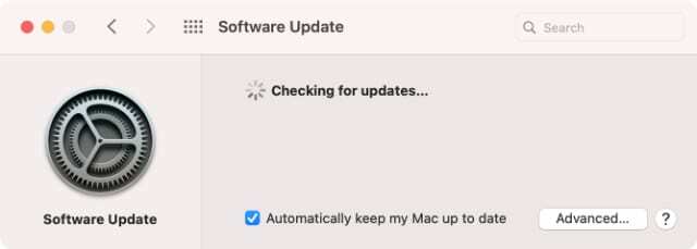 macOS Big Sur Software Update System Preferences zjišťují aktualizace