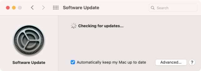 macOS Big Sur Software Update System Preferences ser etter oppdateringer