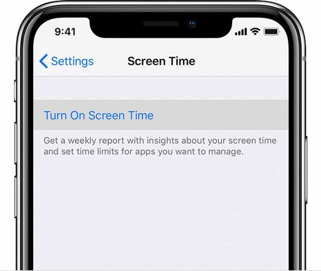 įjungti ekrano laiko nustatymą iOS