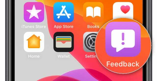 Feedback Assistant-app på iOS Beta-startskærm