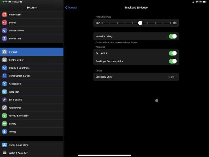 Opciones de trackpad con mouse conectado