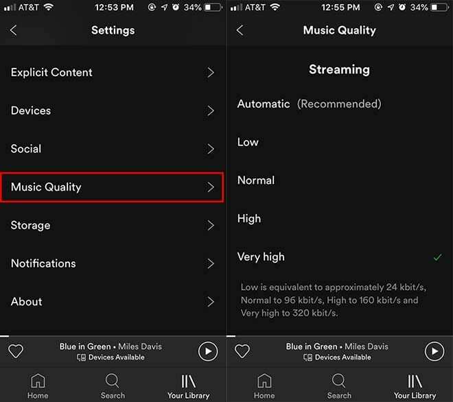 Spotify iOS - 음악 품질