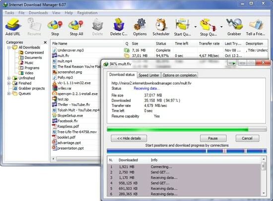 Internet-Download-Manager