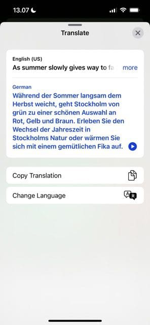 Screenshot van vertaalde tekst in Safari