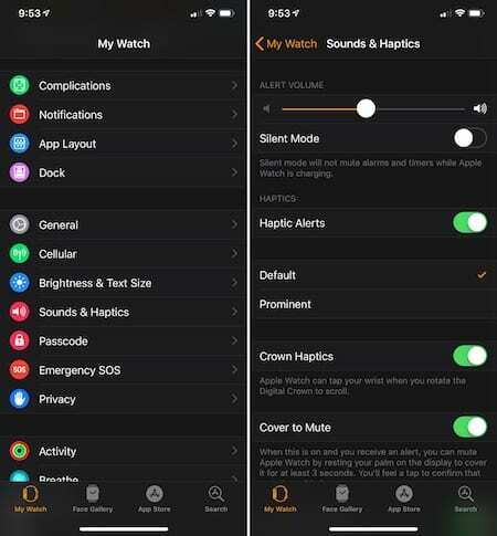 Ubah Volume Peringatan Apple Watch