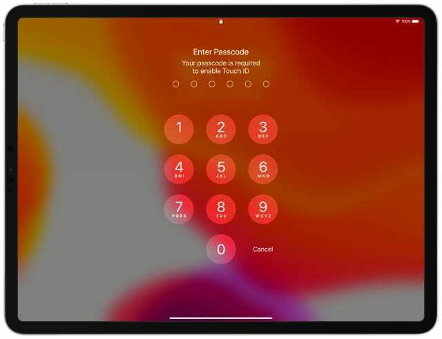 iPad Pro σε οριζόντια λειτουργία που εμφανίζει την οθόνη κωδικού πρόσβασης που απαιτείται