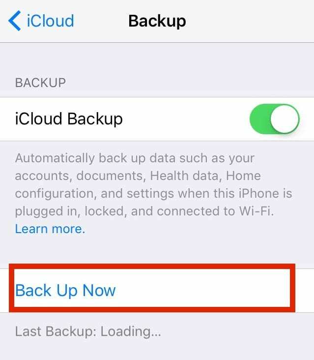 iCloud Backup Now iOS 10 Asenna