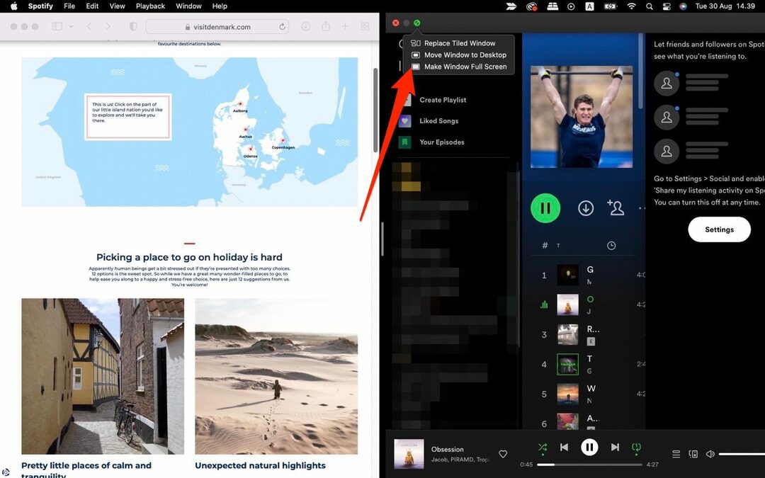 Skærmbillede, der viser, hvordan man gør en skærm til et fuldt vindue på Mac