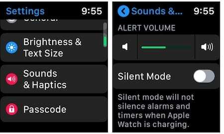 בדוק את עוצמת הקול של Apple Watch
