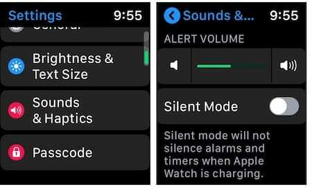 Skontrolujte hlasitosť hodiniek Apple Watch