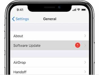 Opțiunea Actualizare software în Setările iPhone