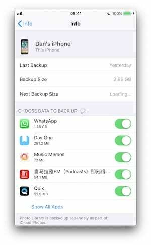 Apa yang ada di cadangan iCloud?