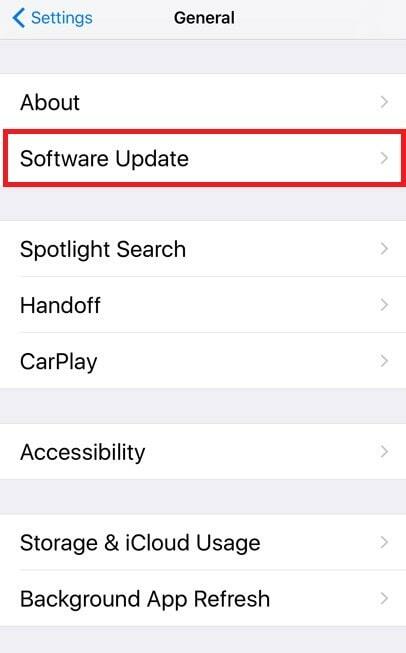 Opțiune de actualizare software în iPhone