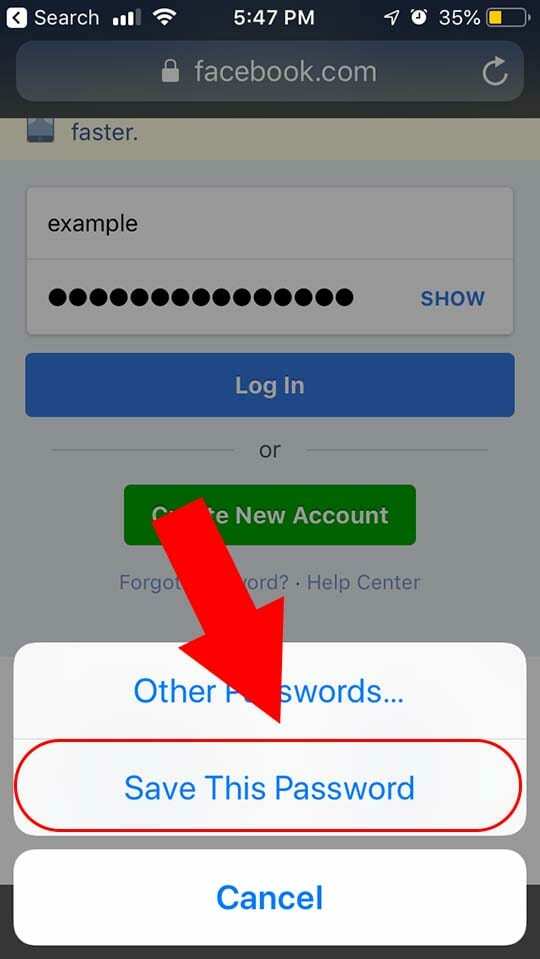 Safari Uložte heslo do iOS