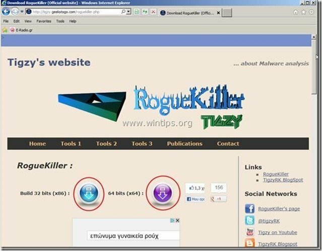 roguekiller webpagina