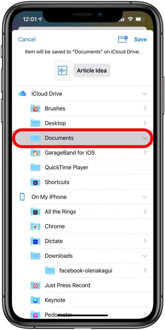 Торкніться «Документи». Ви також можете вибрати іншу папку або створити нову виключно для голосових нотаток.