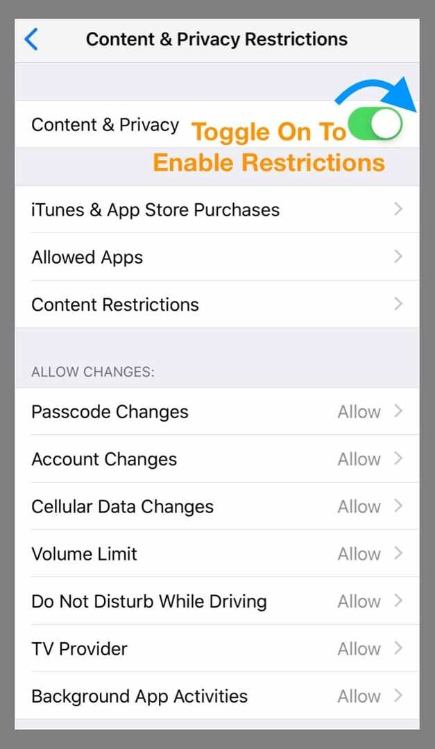 Habilitación de restricciones en iPad