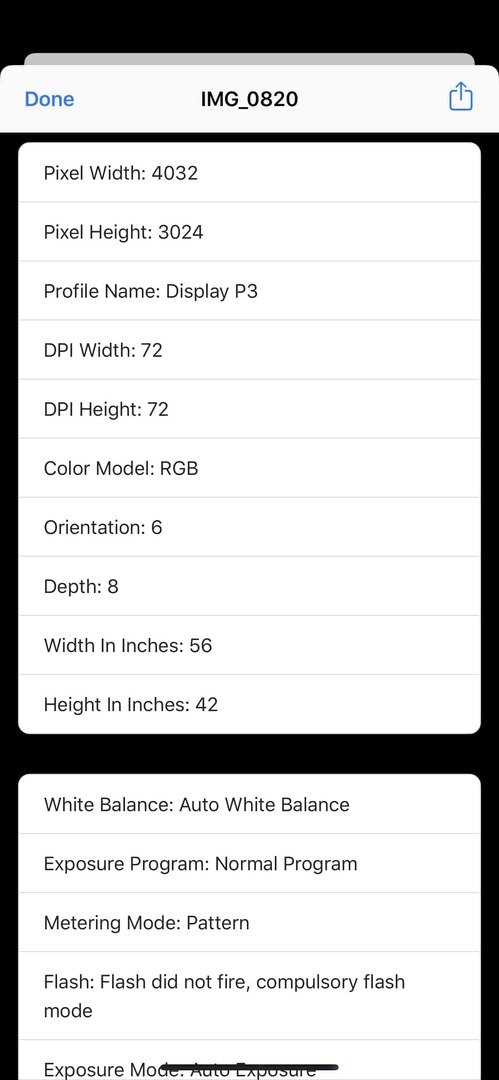 iOS 13 Peržiūrėkite nuotraukų metaduomenis