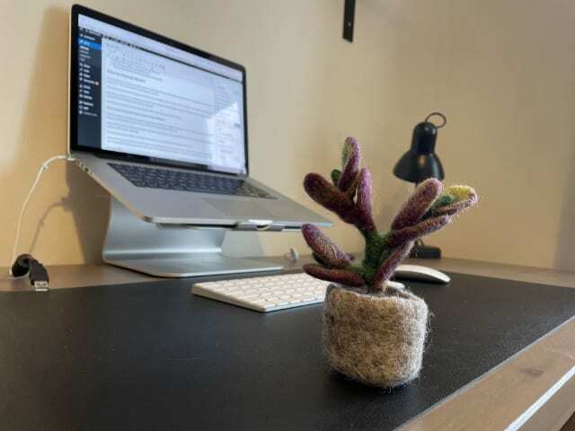 पोर्ट्रेट मोड के बिना डेस्क पर पौधे की iPhone तस्वीर