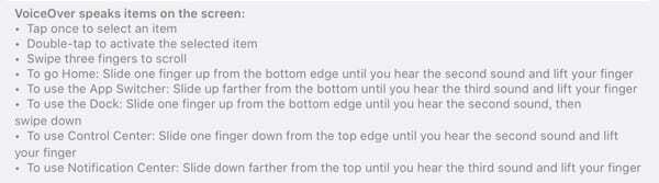 iPad Accessibility-VoiceOver ჟესტები
