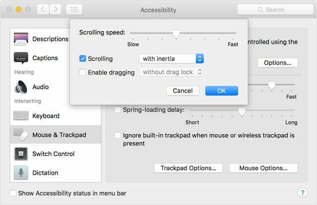impostazioni di accessibilità del trackpad mac