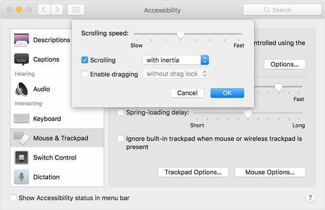 paramètres d'accessibilité du trackpad mac