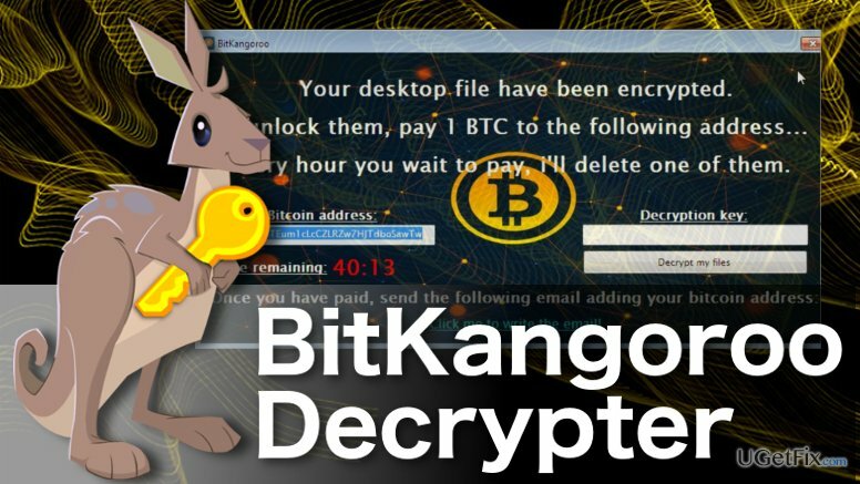 Ilustrácia dešifrovača BitKangoroo