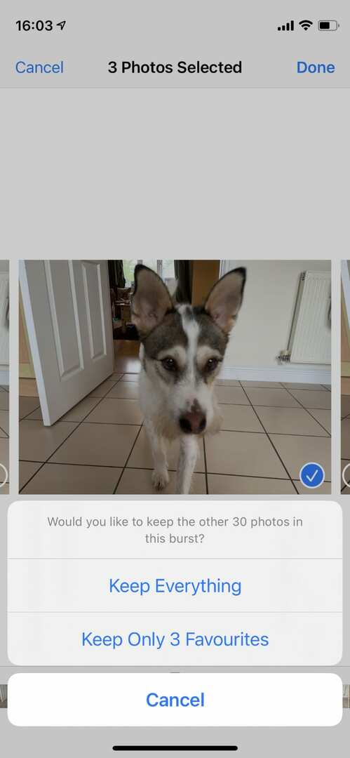 Option „Favoriten beibehalten“ in der iPhone-Fotos-App