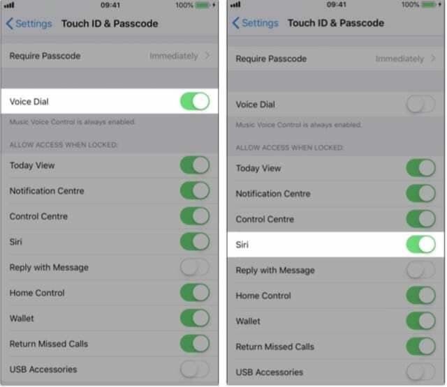 Hangtárcsázás és Siri opciók a Touch ID vagy a Face ID & Passcode beállításokban.