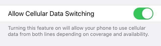 iPhone iestatījums eSIM vai Dual SIM Atļaut mobilo datu pārslēgšanu