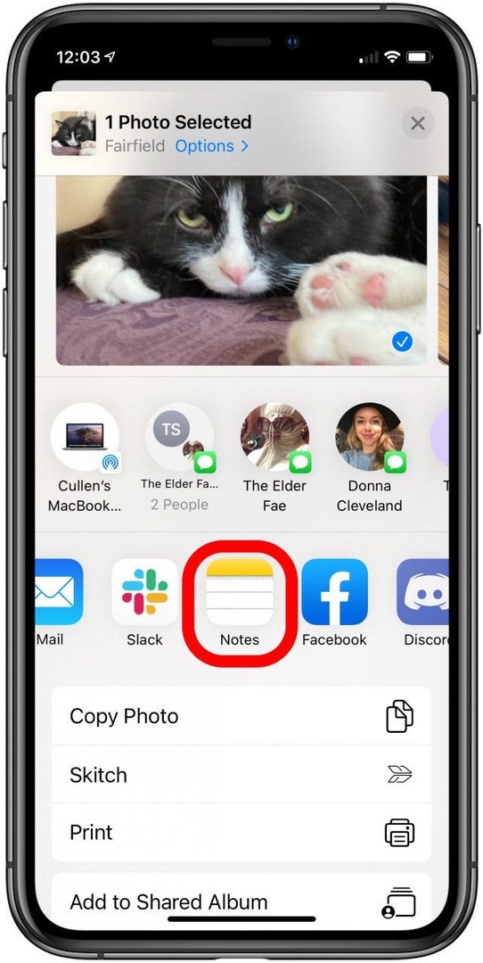 dölj foton iphone: fotodelningsmenyn med Notes-appen markerad