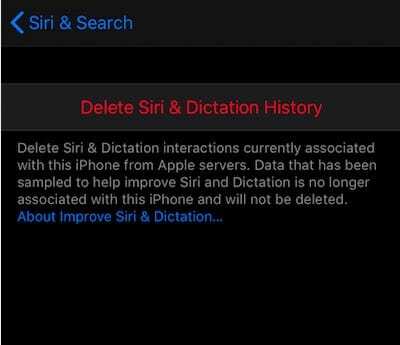 Ištrinkite „Siri“ ir diktavimo istoriją „iOS 13.2“.