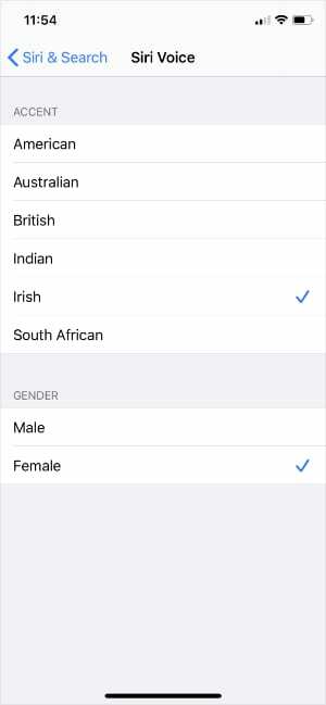 Siri glasovne opcije u postavkama iPhonea