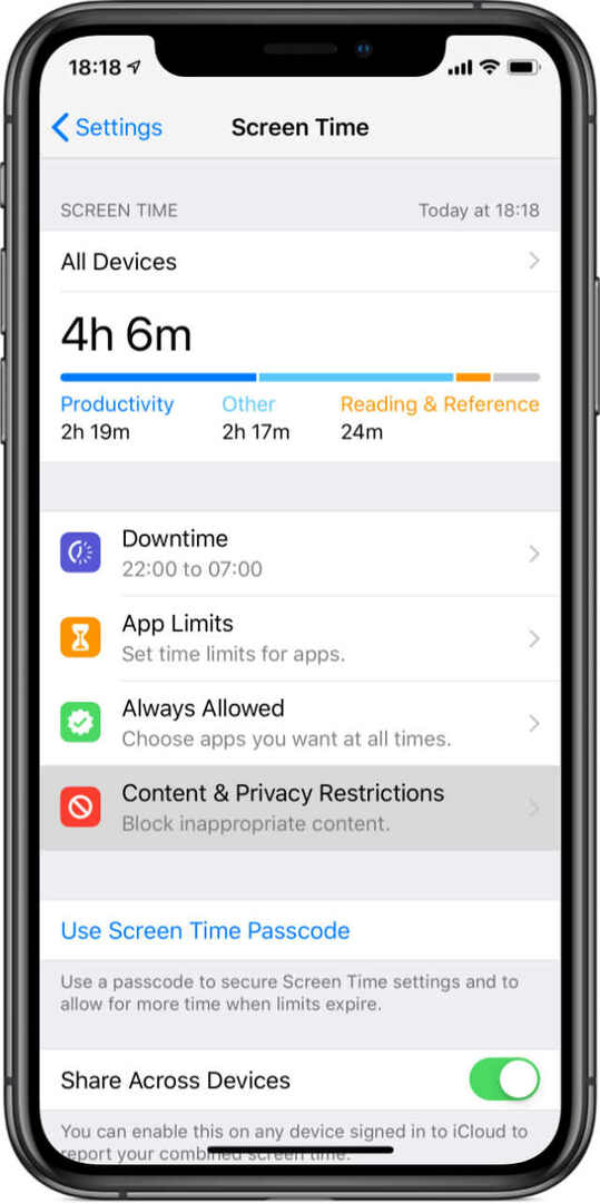 Настройки ограничений конфиденциальности и содержимого экранного времени iPhone X