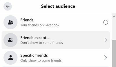 Facebook-auditorija-draugai-išskyrus