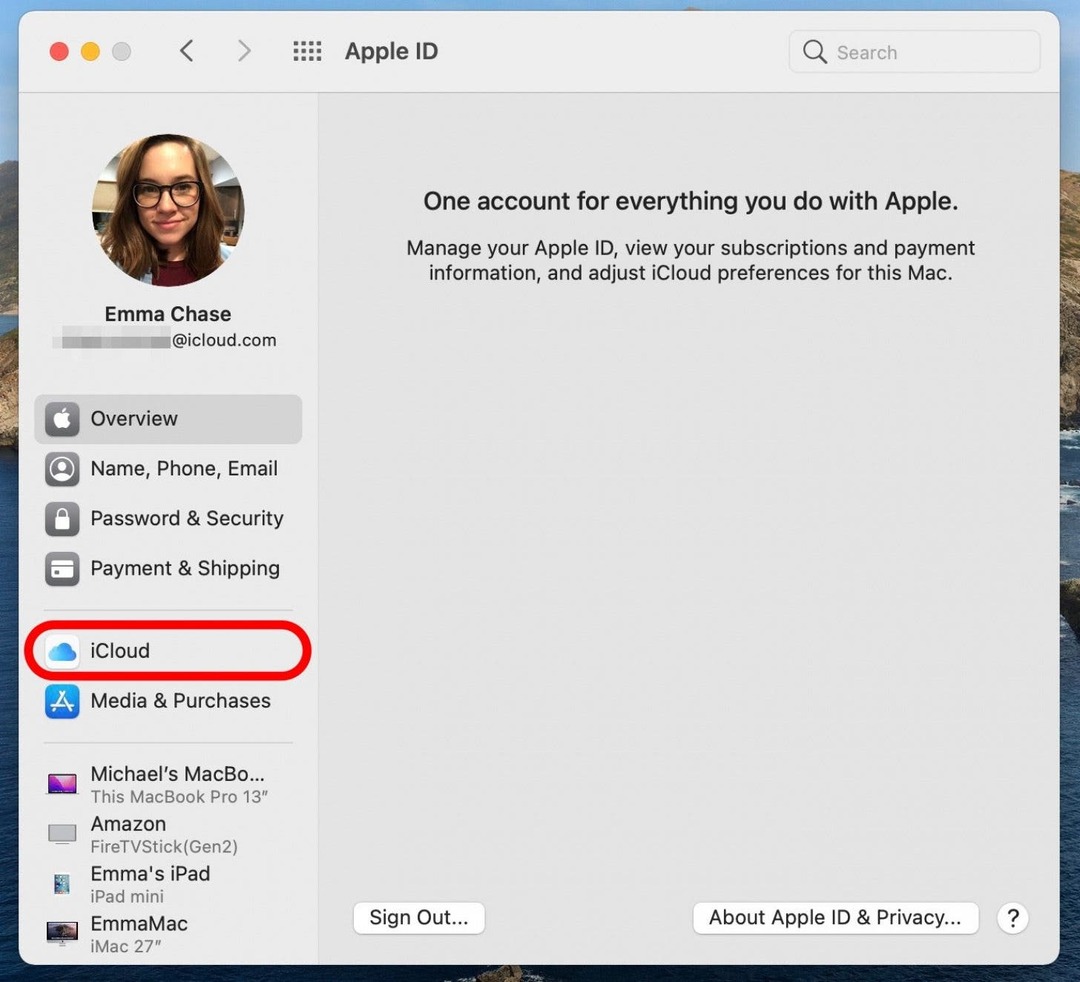 icloud עבור סיסמת מחזיק מפתחות mac