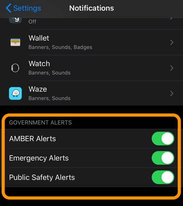 peringatan darurat, pemerintah, keselamatan, dan AMBER di pengaturan iPhone