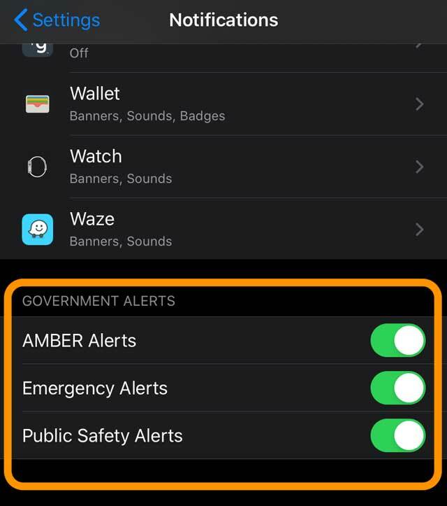 تنبيهات الطوارئ والحكومة والسلامة و AMBER على إعدادات iPhone