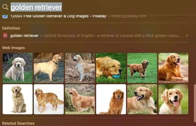 צילום מסך המציג תוצאות חיפוש של Spotlight ב-Mac