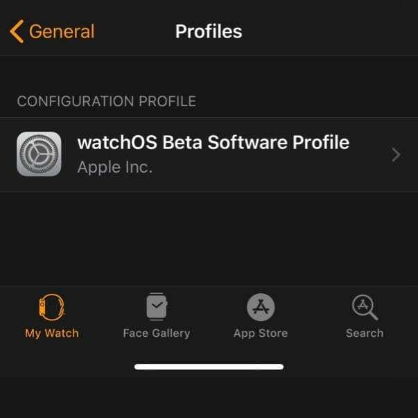 Umiestnenie profilu beta na hodinkách Apple Watch