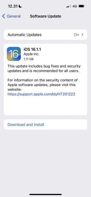 iOS'ta bir yazılım güncellemesinin nasıl kontrol edileceğini gösteren ekran görüntüsü