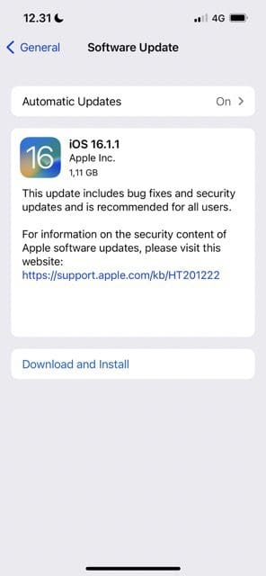 Screenshot, der zeigt, wie Sie in iOS nach einem Software-Update suchen